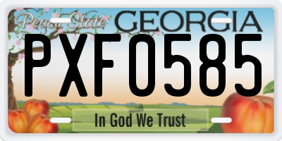 GA license plate PXF0585