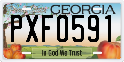GA license plate PXF0591