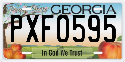 GA license plate PXF0595