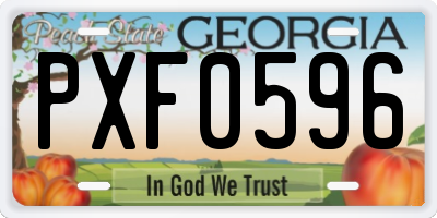 GA license plate PXF0596