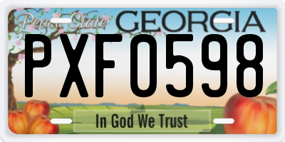 GA license plate PXF0598