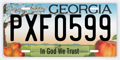 GA license plate PXF0599