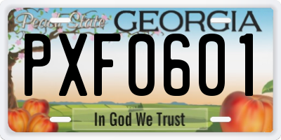 GA license plate PXF0601