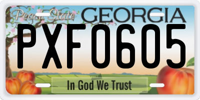 GA license plate PXF0605