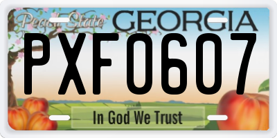GA license plate PXF0607