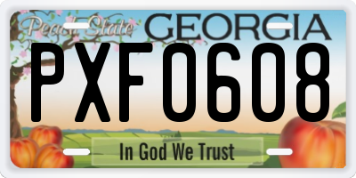 GA license plate PXF0608