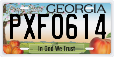 GA license plate PXF0614