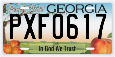 GA license plate PXF0617