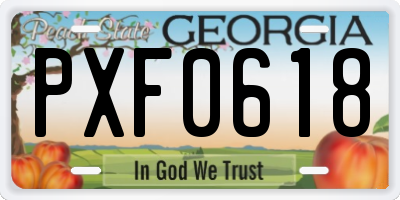 GA license plate PXF0618