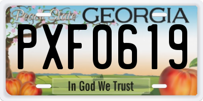 GA license plate PXF0619