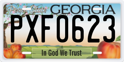 GA license plate PXF0623
