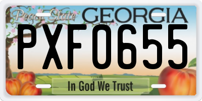 GA license plate PXF0655
