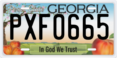 GA license plate PXF0665