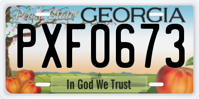 GA license plate PXF0673