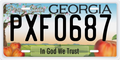 GA license plate PXF0687