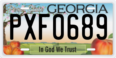 GA license plate PXF0689