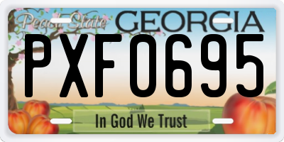 GA license plate PXF0695