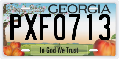 GA license plate PXF0713