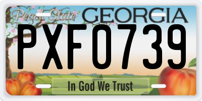 GA license plate PXF0739