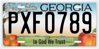 GA license plate PXF0789