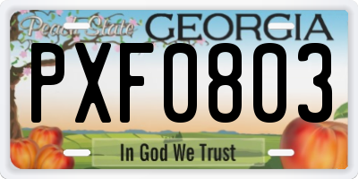 GA license plate PXF0803