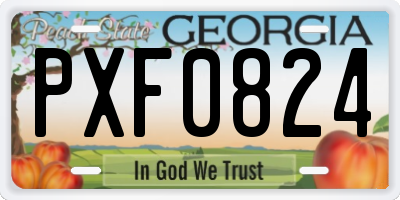 GA license plate PXF0824
