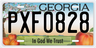 GA license plate PXF0828