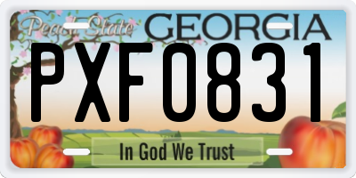 GA license plate PXF0831