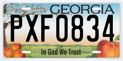 GA license plate PXF0834