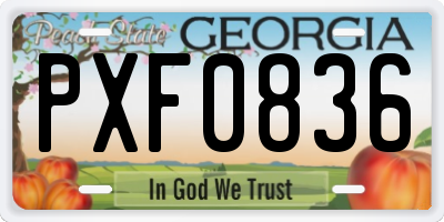 GA license plate PXF0836