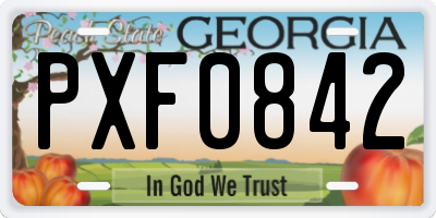 GA license plate PXF0842
