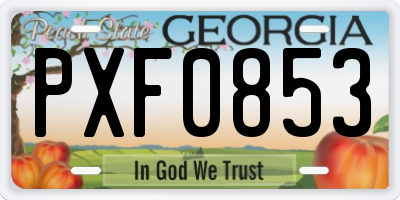 GA license plate PXF0853