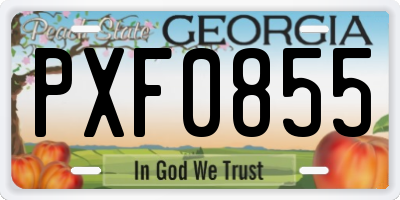 GA license plate PXF0855