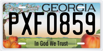 GA license plate PXF0859