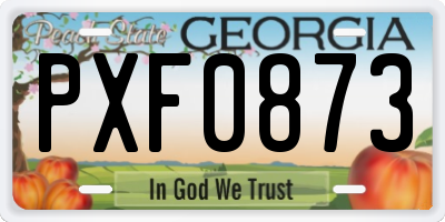GA license plate PXF0873