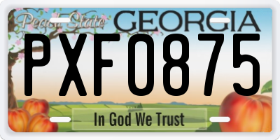 GA license plate PXF0875