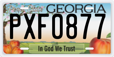 GA license plate PXF0877