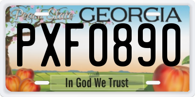 GA license plate PXF0890