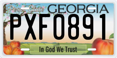 GA license plate PXF0891
