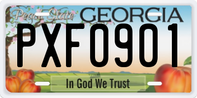 GA license plate PXF0901