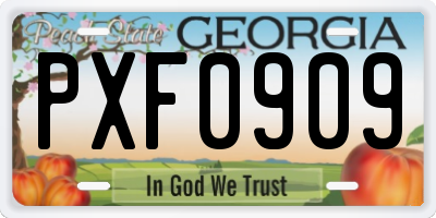 GA license plate PXF0909