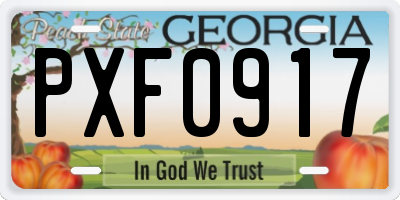 GA license plate PXF0917