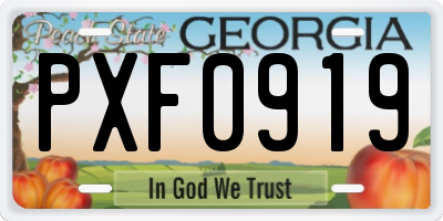 GA license plate PXF0919