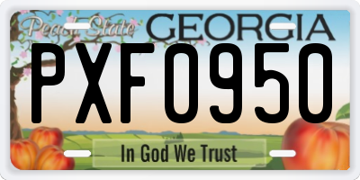 GA license plate PXF0950