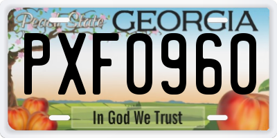 GA license plate PXF0960