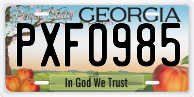 GA license plate PXF0985