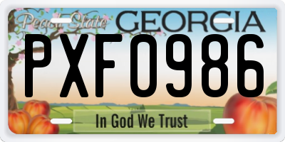 GA license plate PXF0986