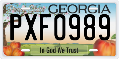 GA license plate PXF0989