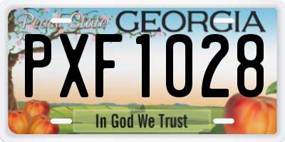 GA license plate PXF1028