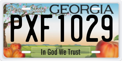 GA license plate PXF1029